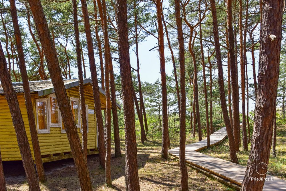 Ferienhäuser am Meer in Sventoji