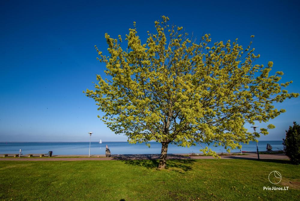 Neu eingerichtete Ferienwohnungs in Juodkrante Come2rest Smilga