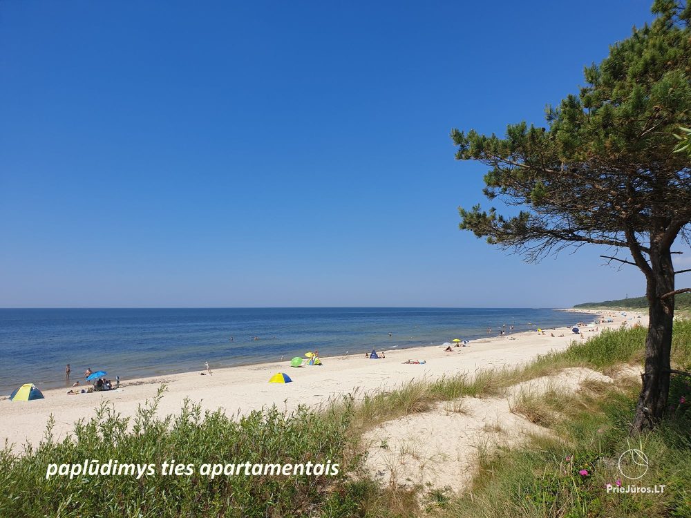 Apartment Nemirsetos kopos - weg vom Trubel, näher an der Natur!