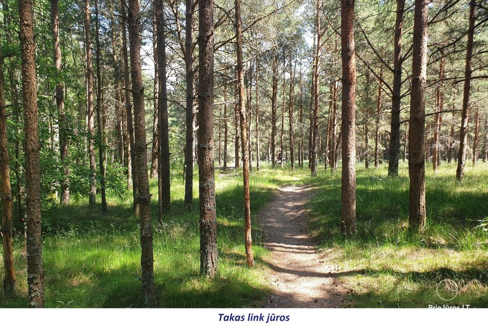 Apartment Nemirsetos kopos - weg vom Trubel, näher an der Natur!