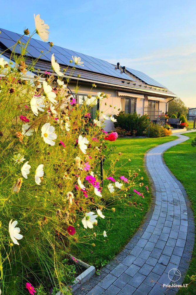 Apartment Nemirsetos kopos - weg vom Trubel, näher an der Natur!