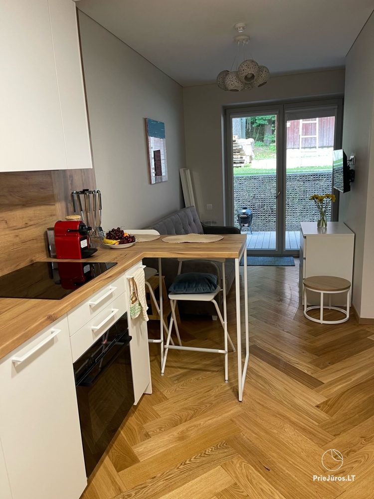 Vermietung einer gemütlichen Einzimmerwohnung in Juodkrantė mit Sauna