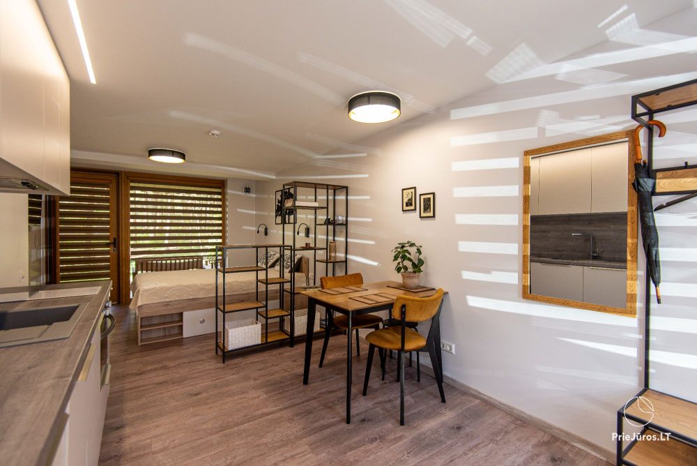 Wohnraum im Studio-Stil zu vermieten - 1