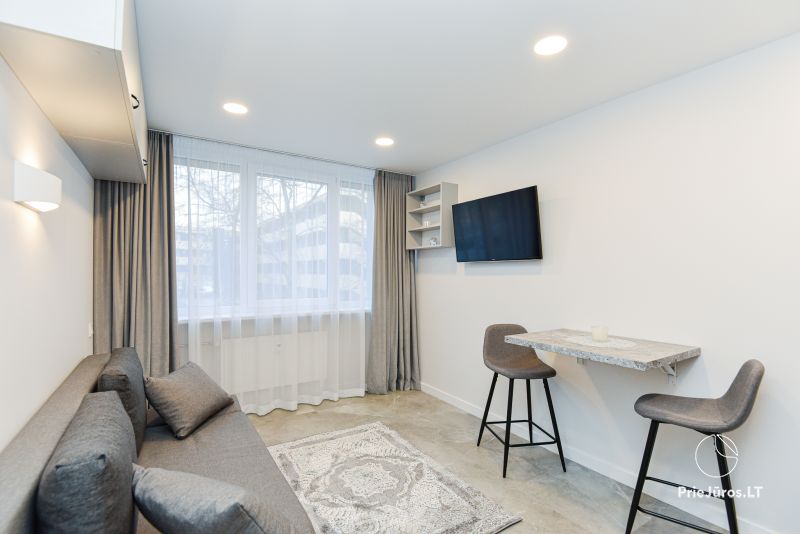 Ritos apartment - Einzimmerwohnung zur Miete in Palanga