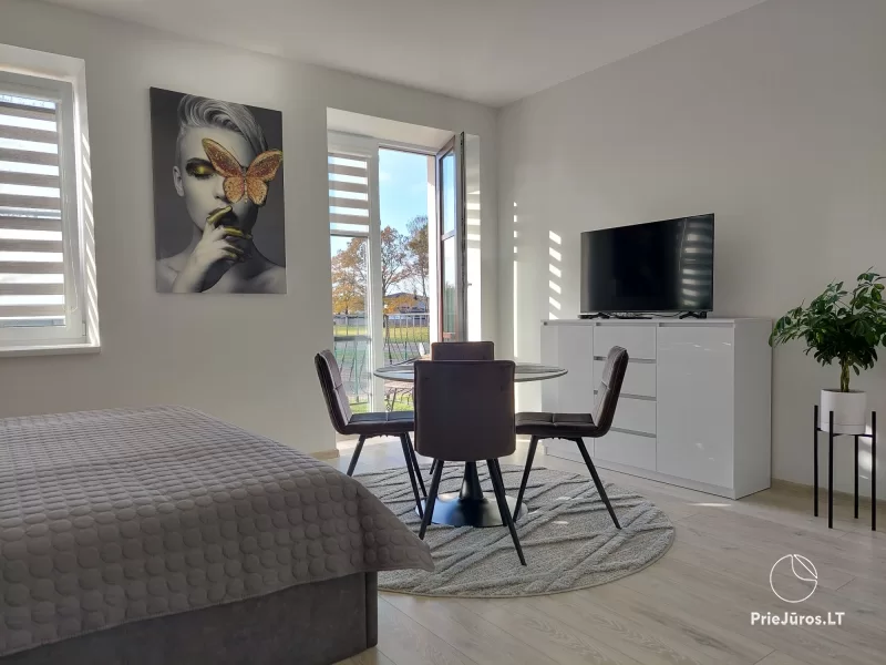 Eine neue Wohnung in Grautönen in Kretinga