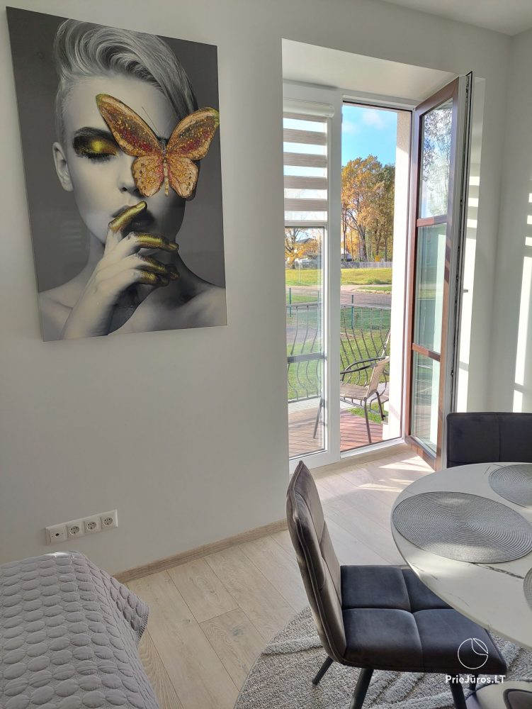 Eine neue Wohnung in Grautönen in Kretinga