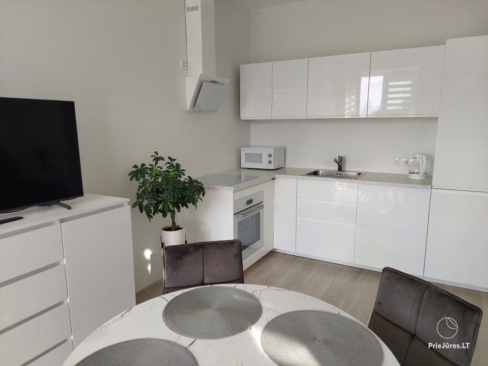 Eine neue Wohnung in Grautönen in Kretinga