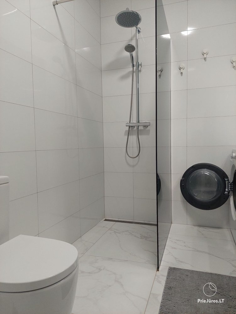 Eine neue Wohnung in Grautönen in Kretinga