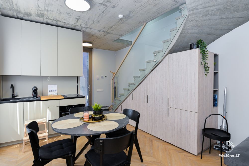 Sakalo 9 - Mieten Sie ein Ferienhaus für Ihren Urlaub in Kunigiškii