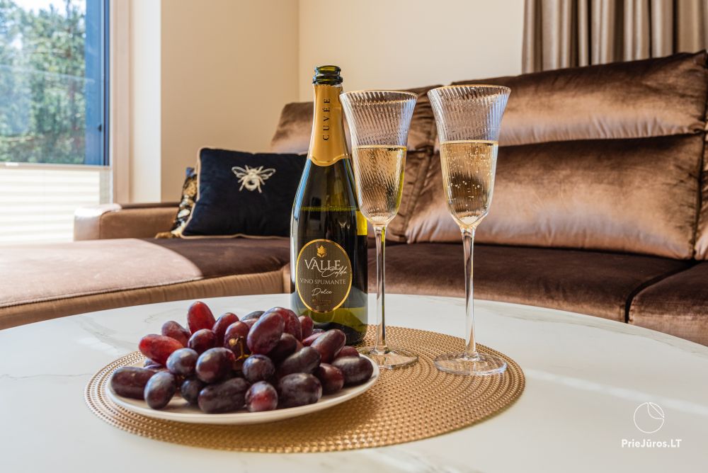 Neue, geräumige J&D Apartment in Palanga in der Nähe eines Pinienwaldes, 400 m vom Meer entfernt