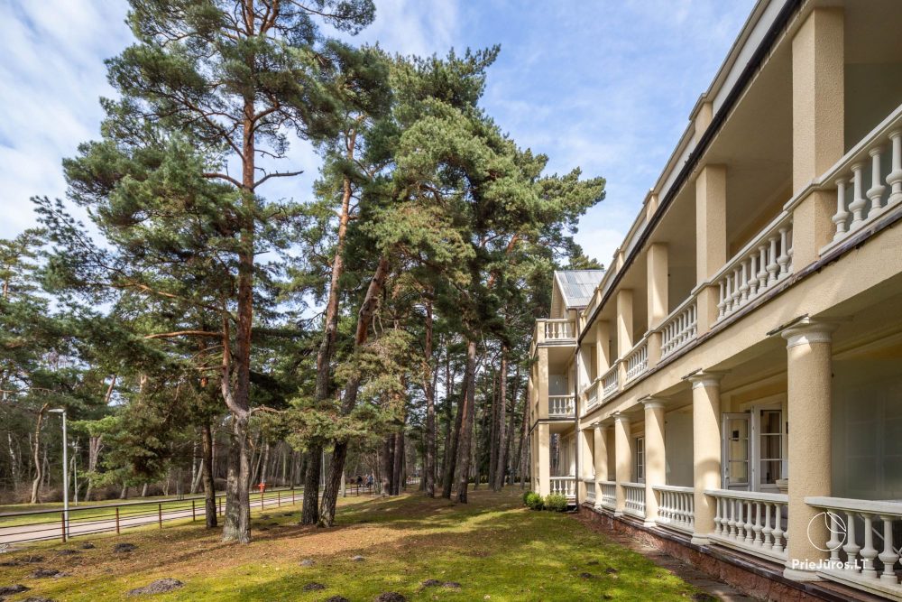 Meilės Alėja Home – Palanga – Studio für zwei an fantastischer Lage am Park, 3 Min bis zum Meer