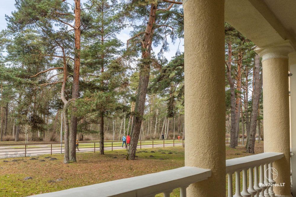 Meilės Alėja Home – Palanga – Studio für zwei an fantastischer Lage am Park, 3 Min bis zum Meer
