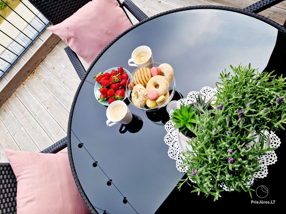 Odri Home - Mano jūra 2, Kunigiškiai – Apartments mit großer Terrasse, Sonnenliegen