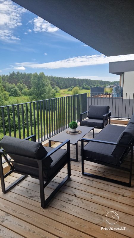 De-Žavu Home - Mano jura 2, Kunigiskiai