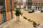 Nida Wetterfahne Ferienhaus - 5