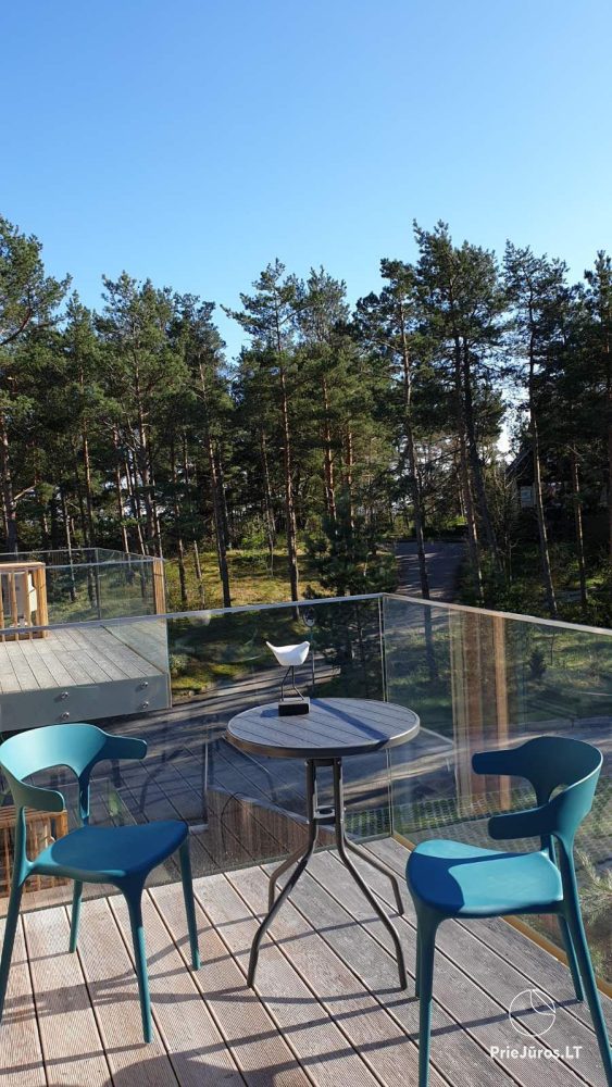 Nida Wetterfahne Ferienhaus