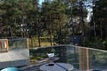 Nida Wetterfahne Ferienhaus - 4