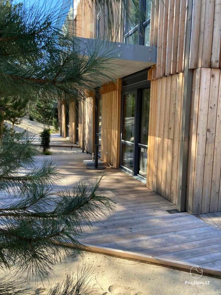 Nida Wetterfahne Ferienhaus