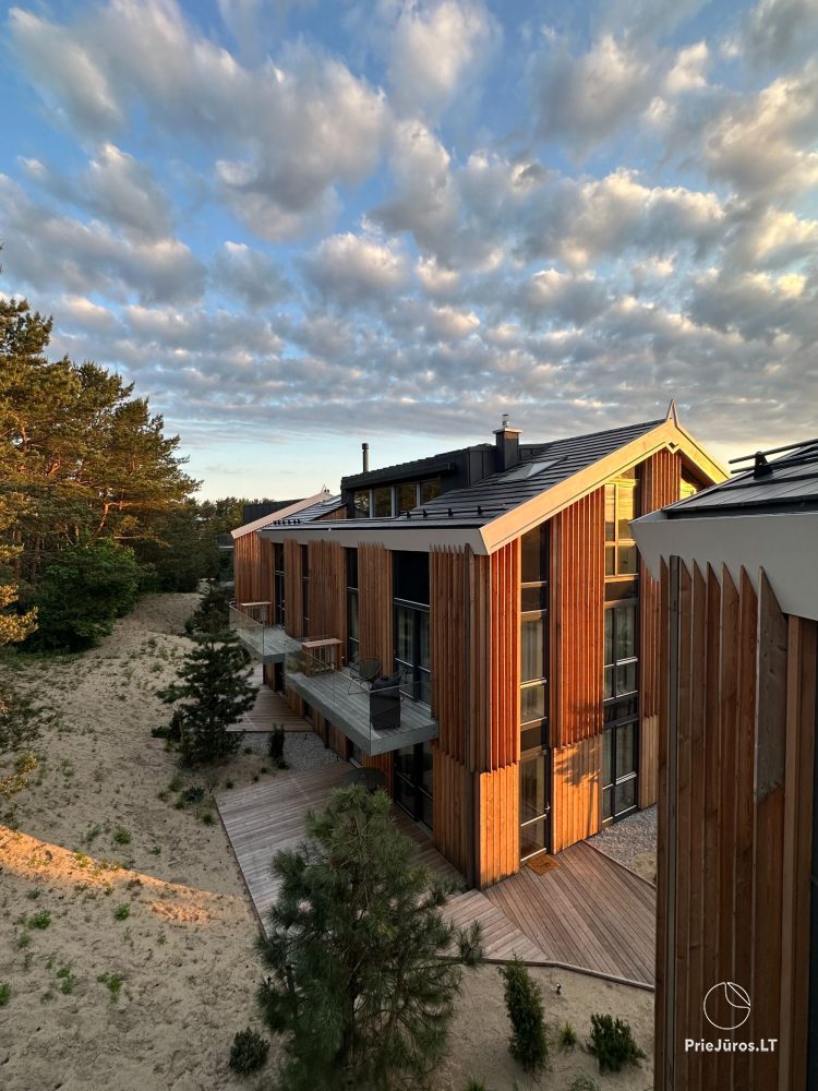 Nida Wetterfahne Ferienhaus