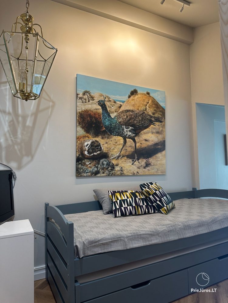 Ein stilvolles Apartment für vier Personen in Pervalka am Ufer der Lagune. Wohnung mit Terrasse für zwei Personen in Juodkrante