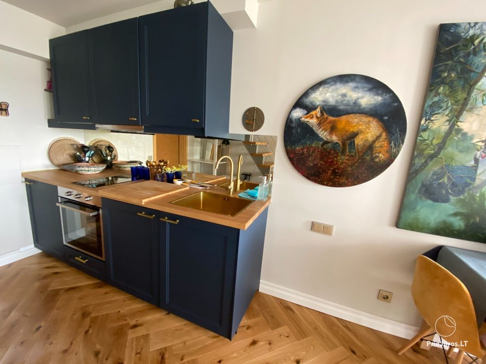 Ein stilvolles Apartment für vier Personen in Pervalka am Ufer der Lagune. Wohnung mit Terrasse für zwei Personen in Juodkrante
