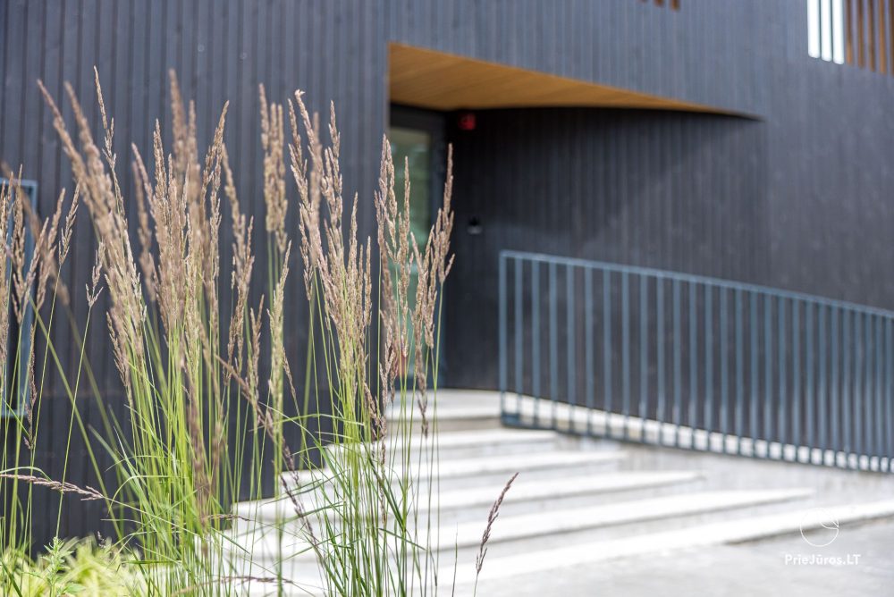 Neue Wohnung im Zentrum von Palanga, 400 m vom Meer – im Komplex „Smilčių Namai“