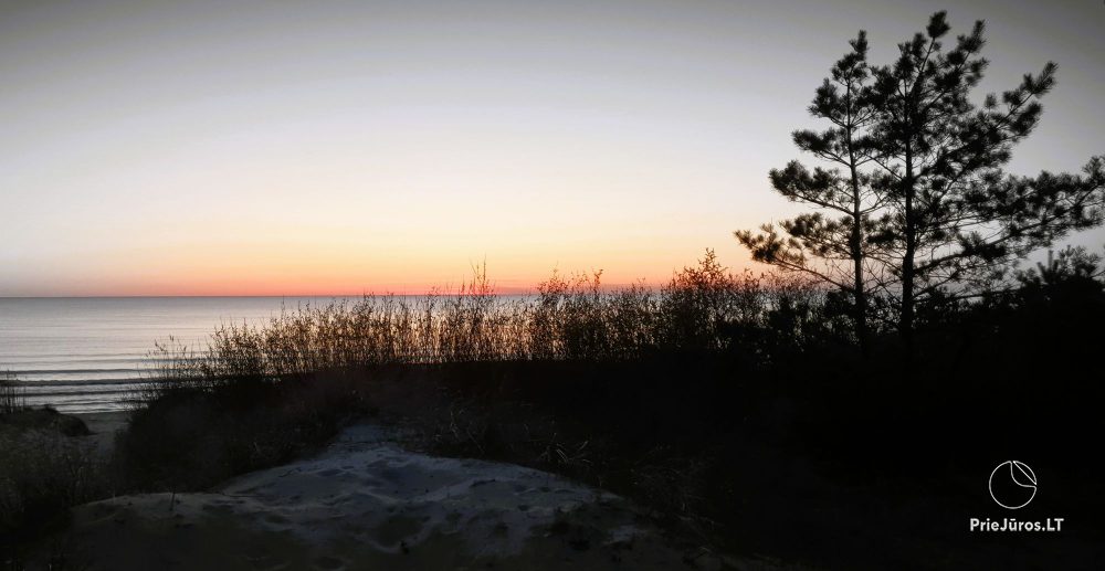 Pusu tako Villa in Palanga. Villa, Wohnungen, Zimmer zu vermieten
