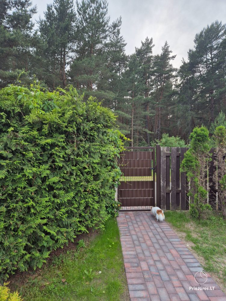 Pusu tako Villa in Palanga. Villa, Wohnungen, Zimmer zu vermieten