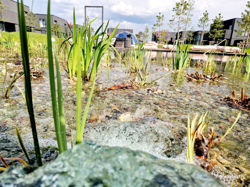 Basom home – Mein Meer 3, Kunigiškiai – Apartments mit Terrasse neben einem Öko-Pool, wunderschöne grüne Umgebung