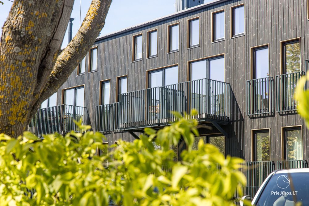 Studios 'Smilčių House' in Palanga – Vier Möglichkeiten an einem Tollen Standort