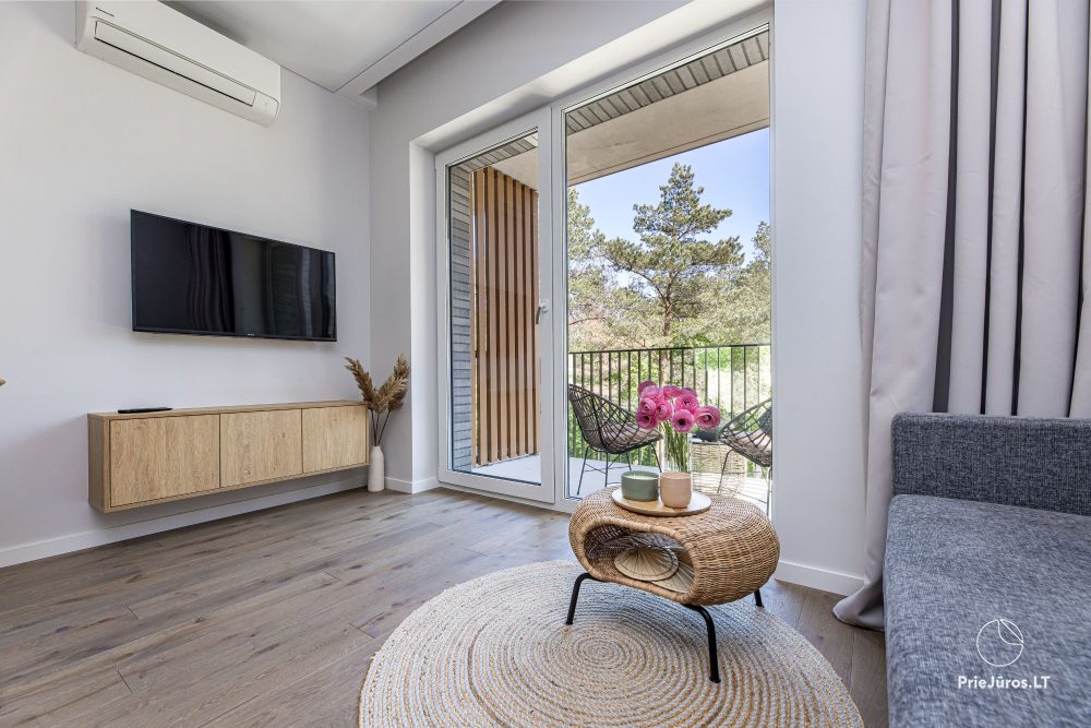 Vanagupes pusyno spa Appartement in Palanga