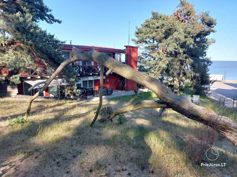 Erholung in Nida „Pušelė“