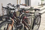 Wohnungs- und Hausvermietung in Palanga - 6