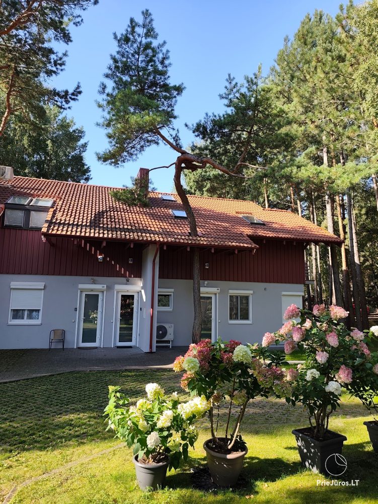 „Pušies namai“ in Nida nahe dem Meer