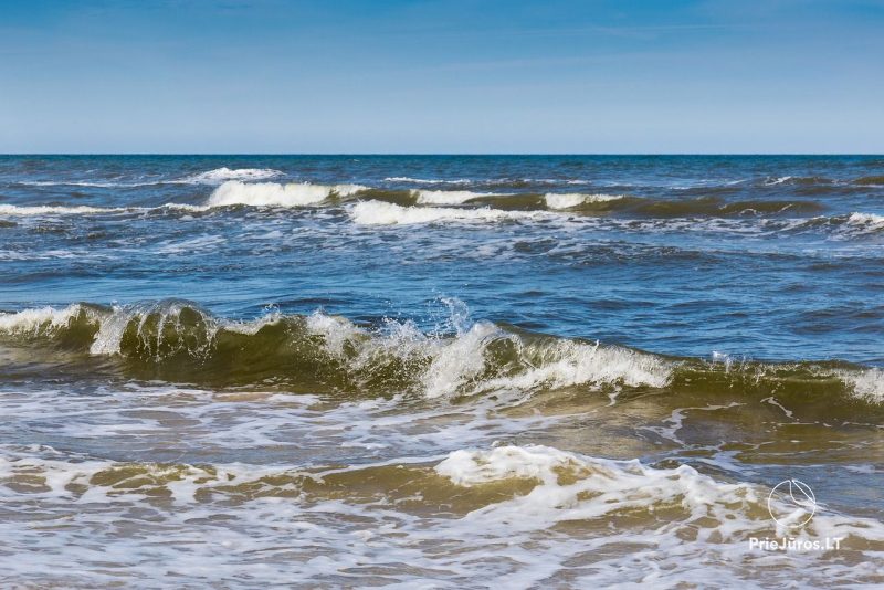 Gemütliche Wohnung im schönen Ort Palanga