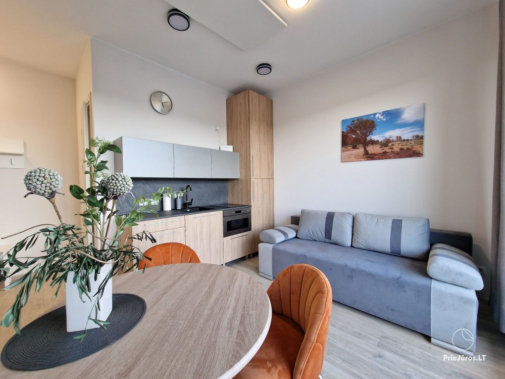 Apartments mit Terrasse „Silver Apartment“, Mano Jūra 2, Kunigiškiai