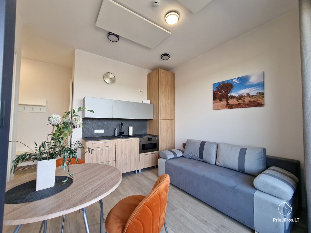 Silver Apartment, Mano Jura 2, Kunigiskiai - 1