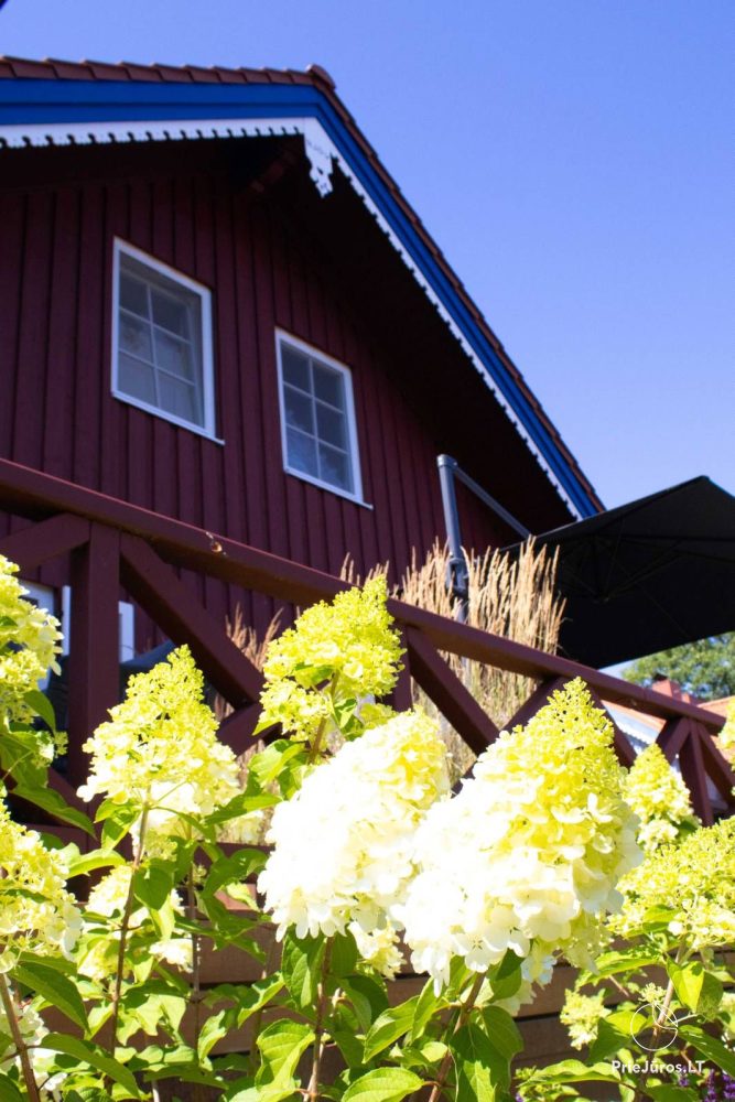 Wohnungen „Pamario - 14“ in Nida