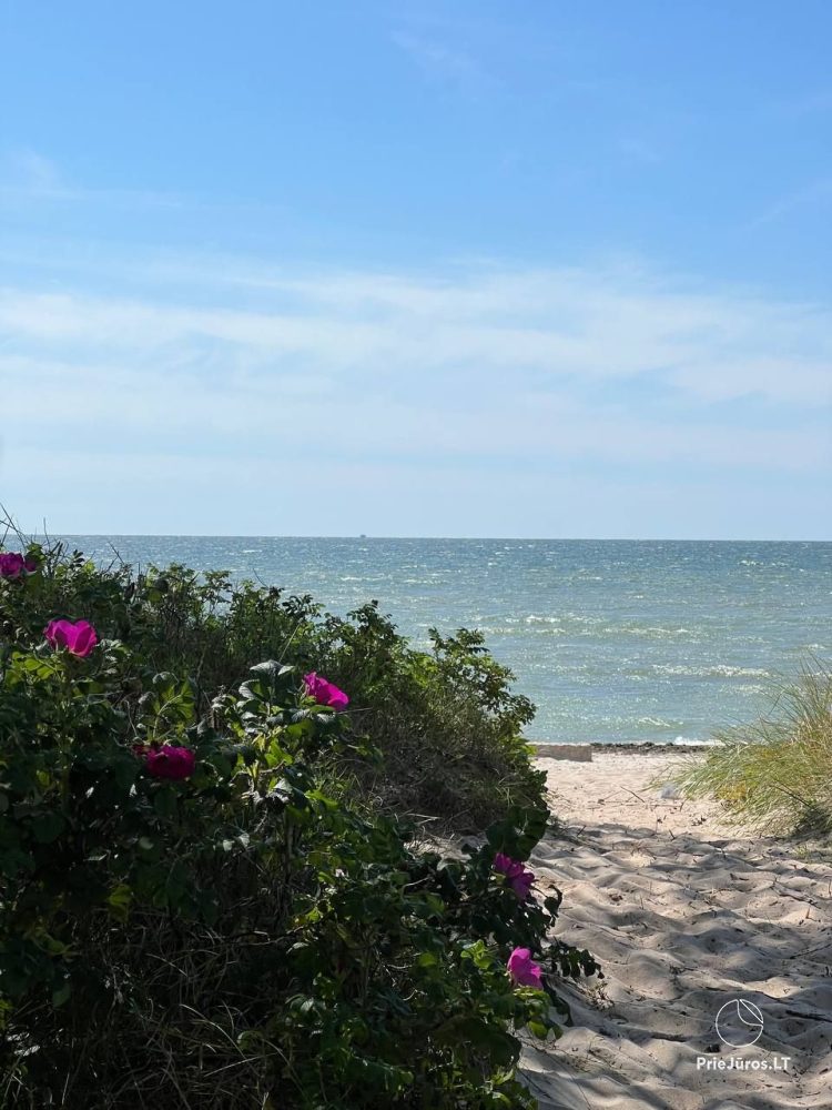 Les Dunes Rasthaus mit Terrasse in Sventoji. Nur 30m bis zum Meer