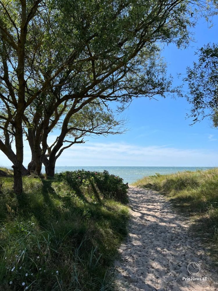 Les Dunes Rasthaus mit Terrasse in Sventoji. Nur 30m bis zum Meer