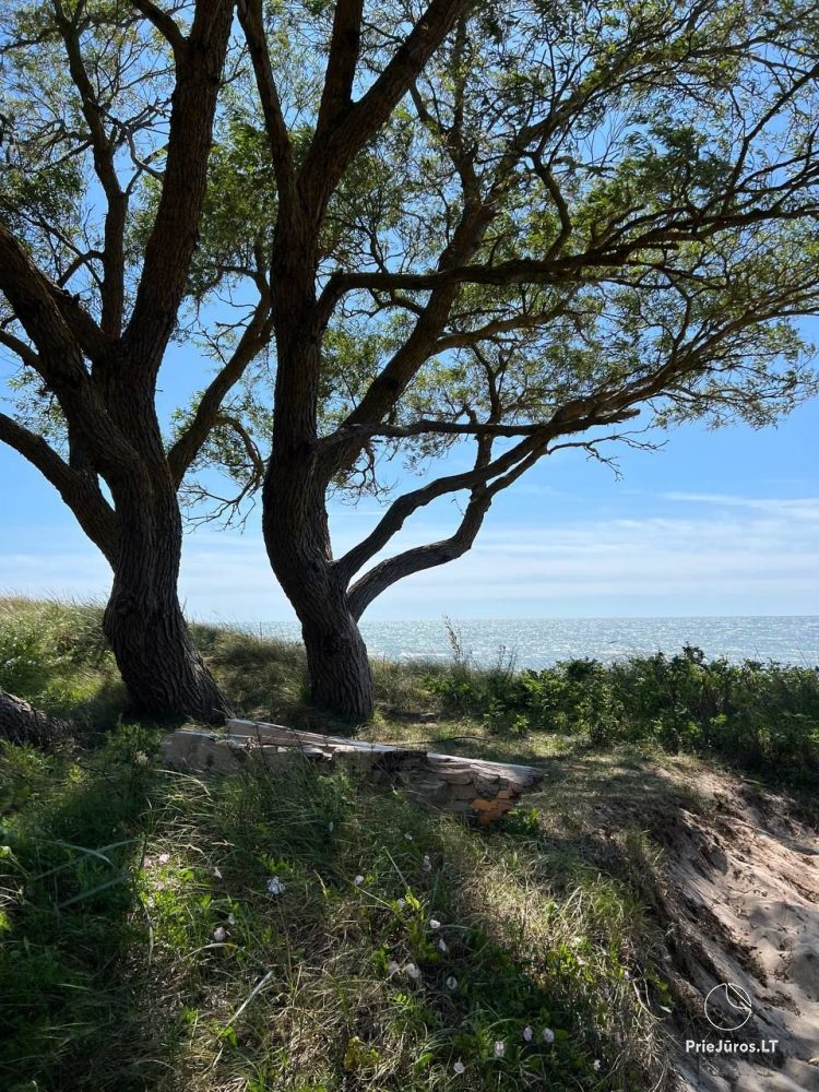 Les Dunes Rasthaus mit Terrasse in Sventoji. Nur 30m bis zum Meer