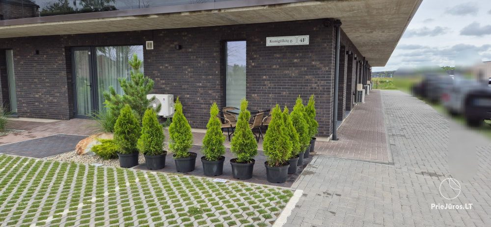 Helle, moderne Zweizimmerwohnung in Kunigiskiai