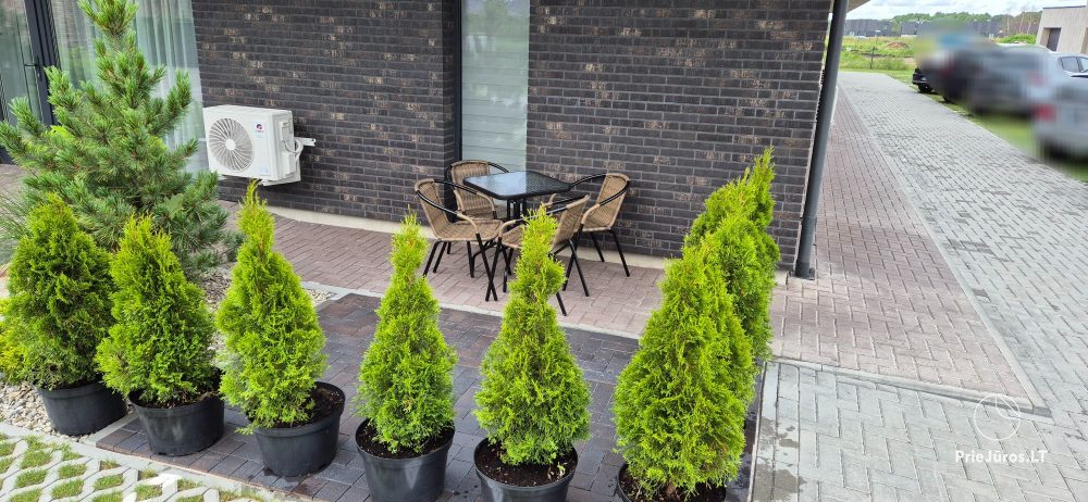 Helle, moderne Zweizimmerwohnung in Kunigiskiai