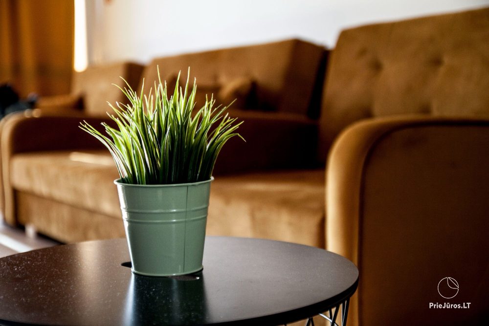 Gemütliches Studio-Apartment in Sventoji