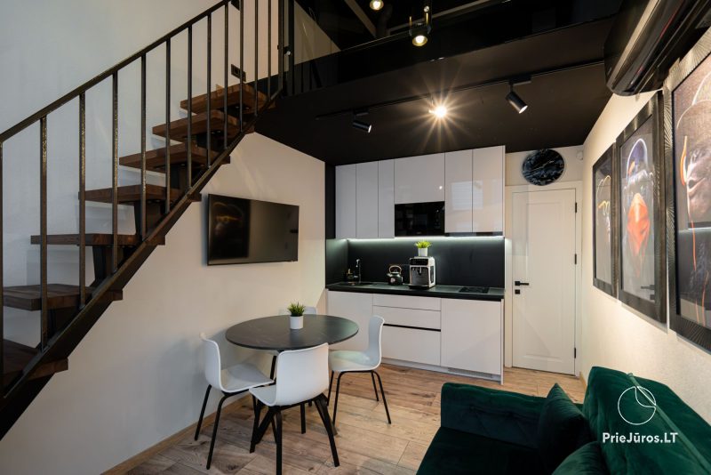 Studio-Apartment - Loft in Palanga „Black & White“