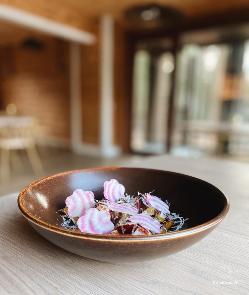 Želvė Village & SPA ist eine einzigartige Entspannungsoase