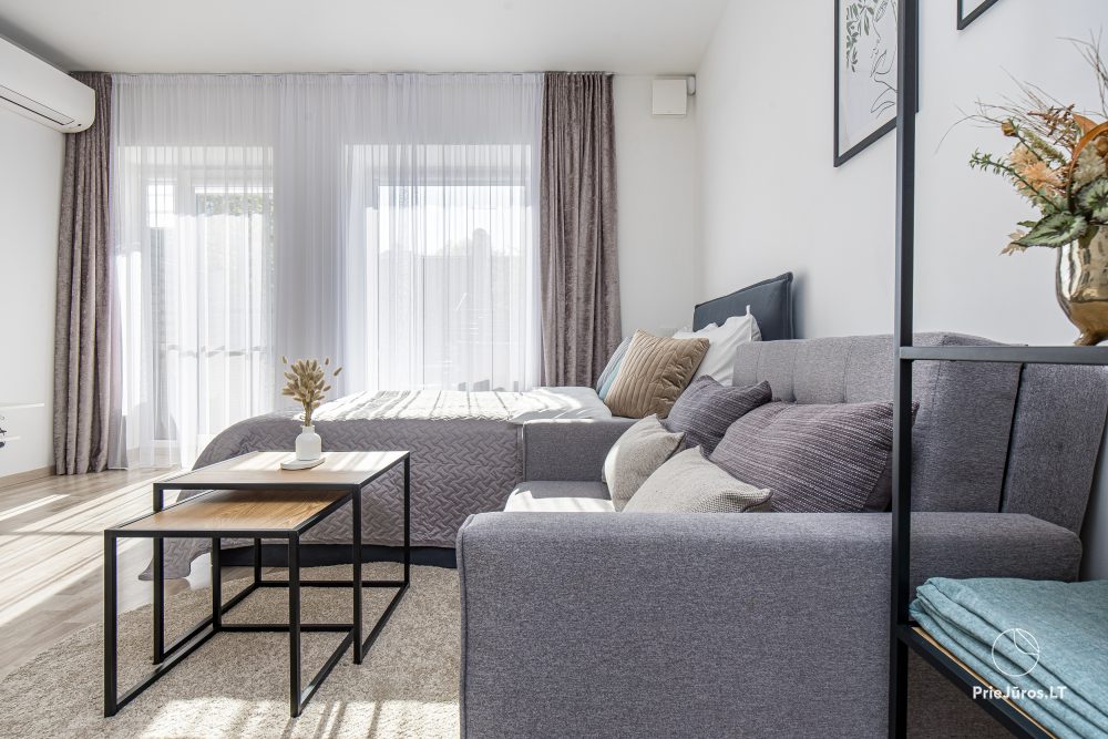 Apartment A&B für Ihre Erholung in Palanga - 1