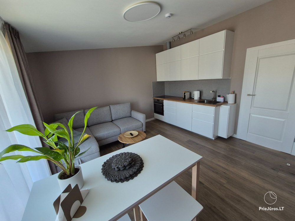 MAS Palanga - gemütliche Wohnung für Ihre Erholung! - 1
