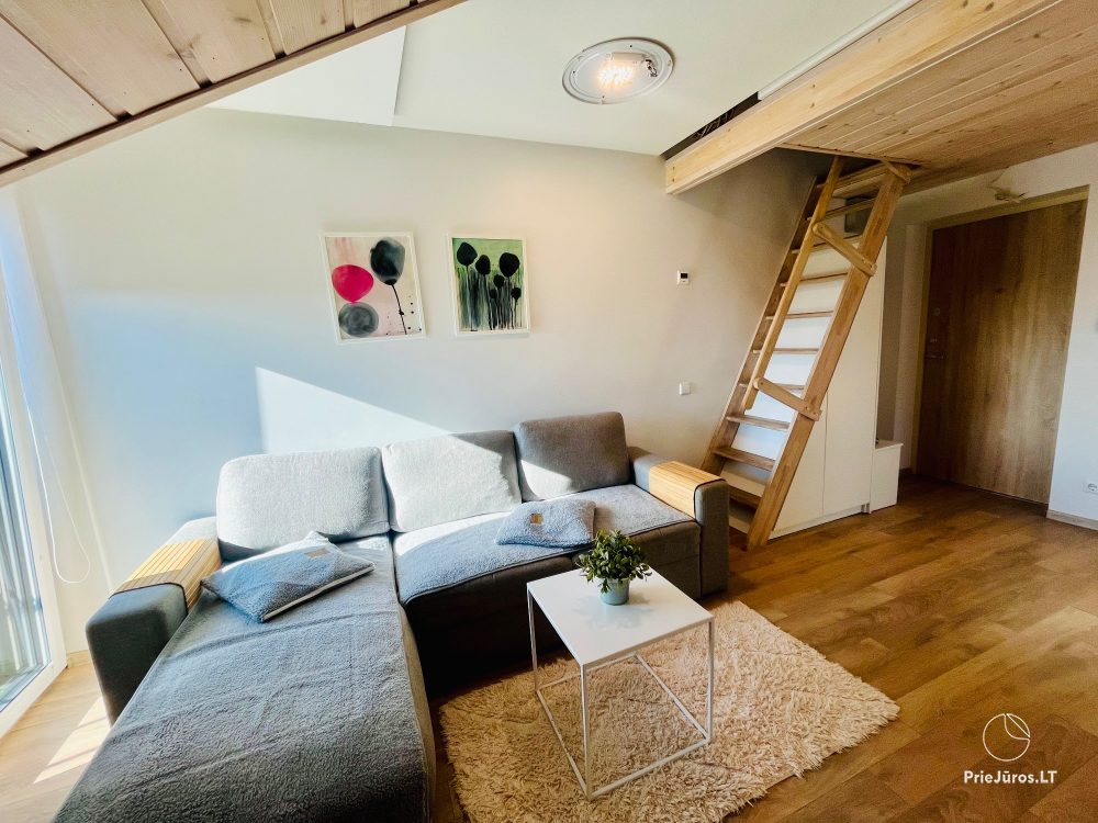 Gemütliche Apartments zum Ausruhen in Palanga