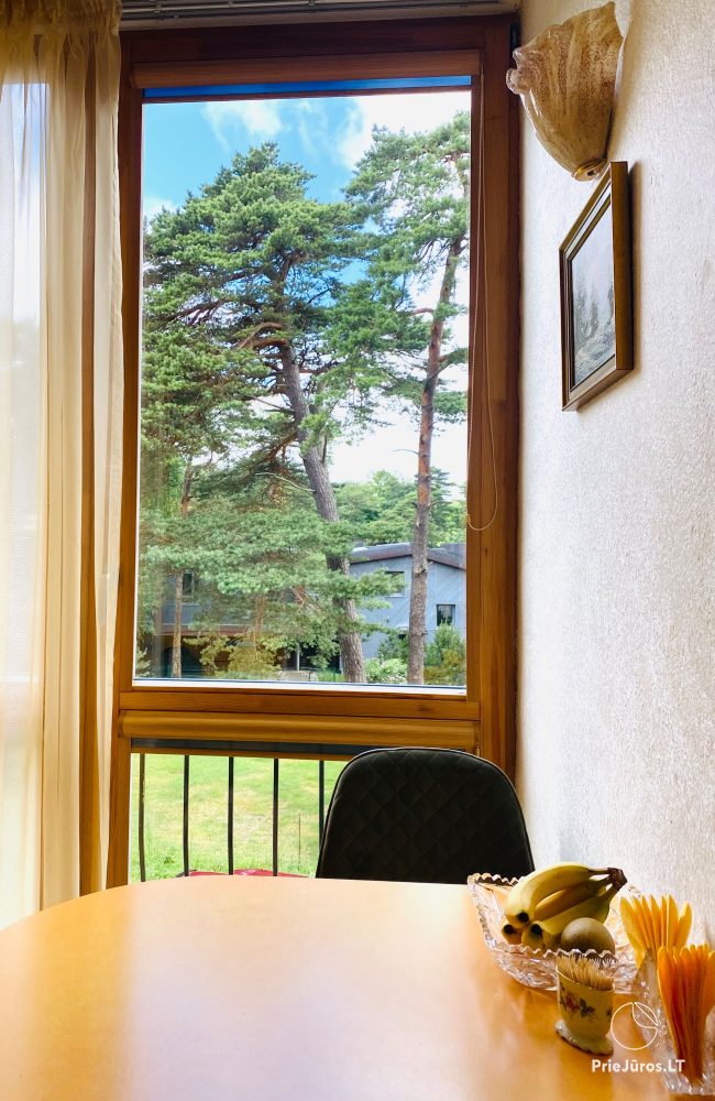 Wohnung Birute zu vermieten in Palanga, in der Birutes Avenue, neben dem Botanischen Park